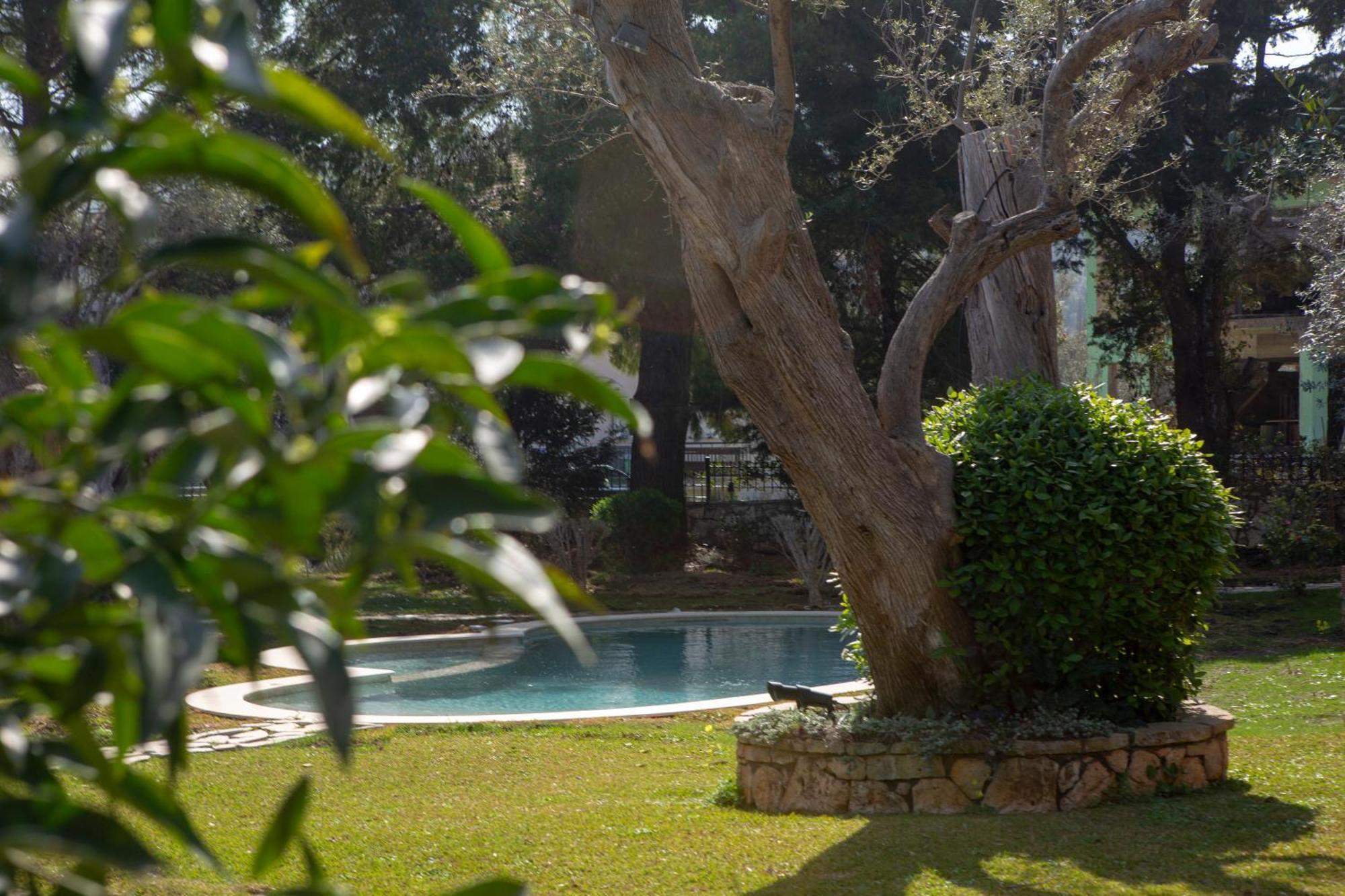Poly'S Villa Lefkada Apolpaina المظهر الخارجي الصورة